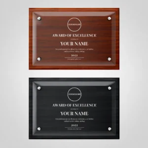 Wall Plaque Professional of the year